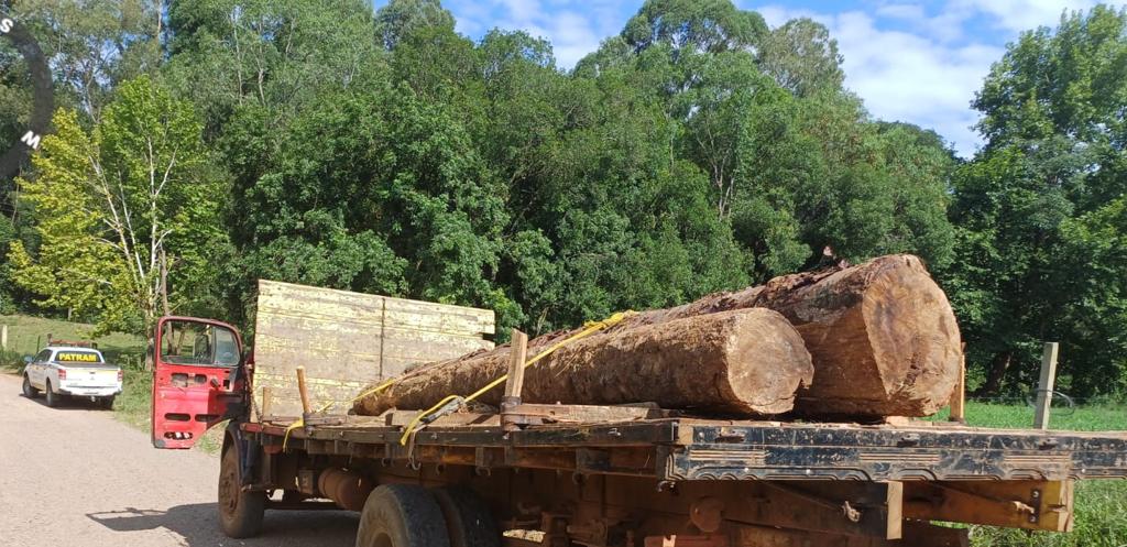 3º BABM realiza a Operação Força Verde combate a crimes contra a