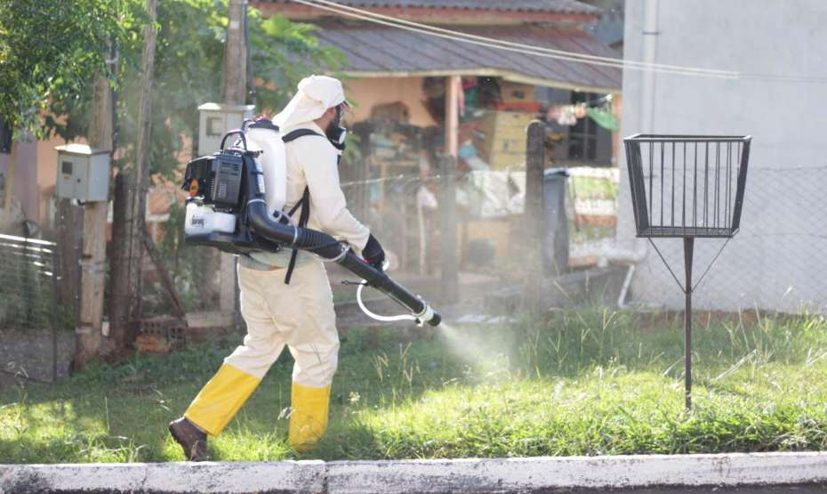 Tapejara realiza aplicação de inseticida para controlar a proliferação ...