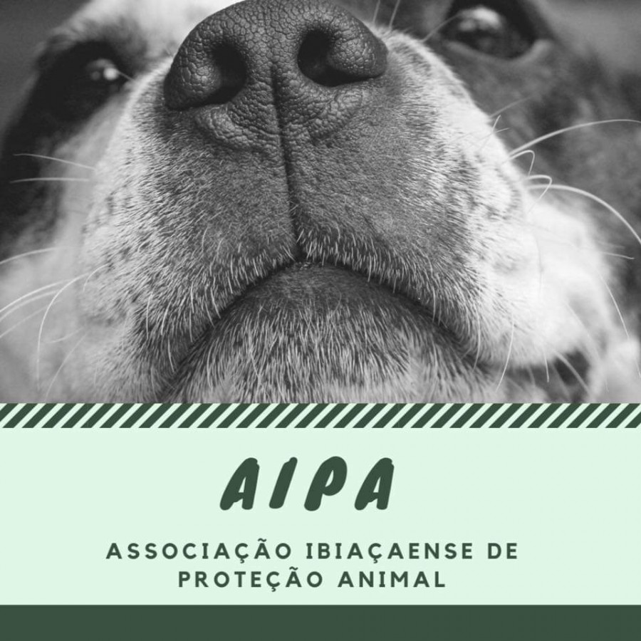 Associação Ibiaçaense de Proteção Animal está oficialmente constituída