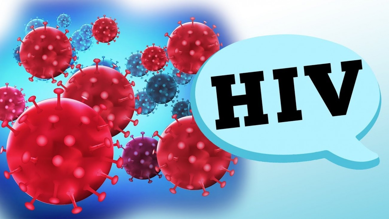 Pesquisadores removem vírus HIV do genoma de animais vivos
