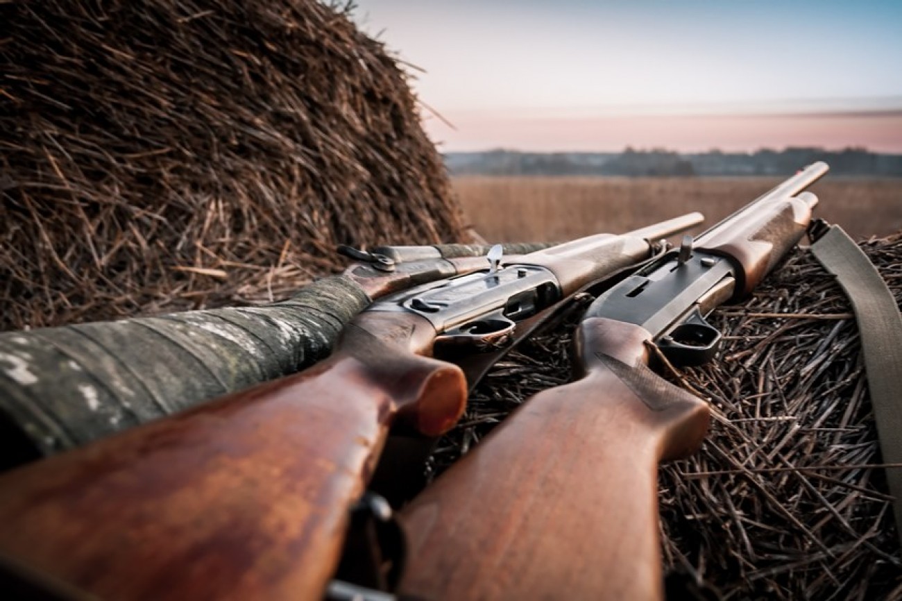 Câmara dá urgência a projeto que permite posse de arma em toda a propriedade rural