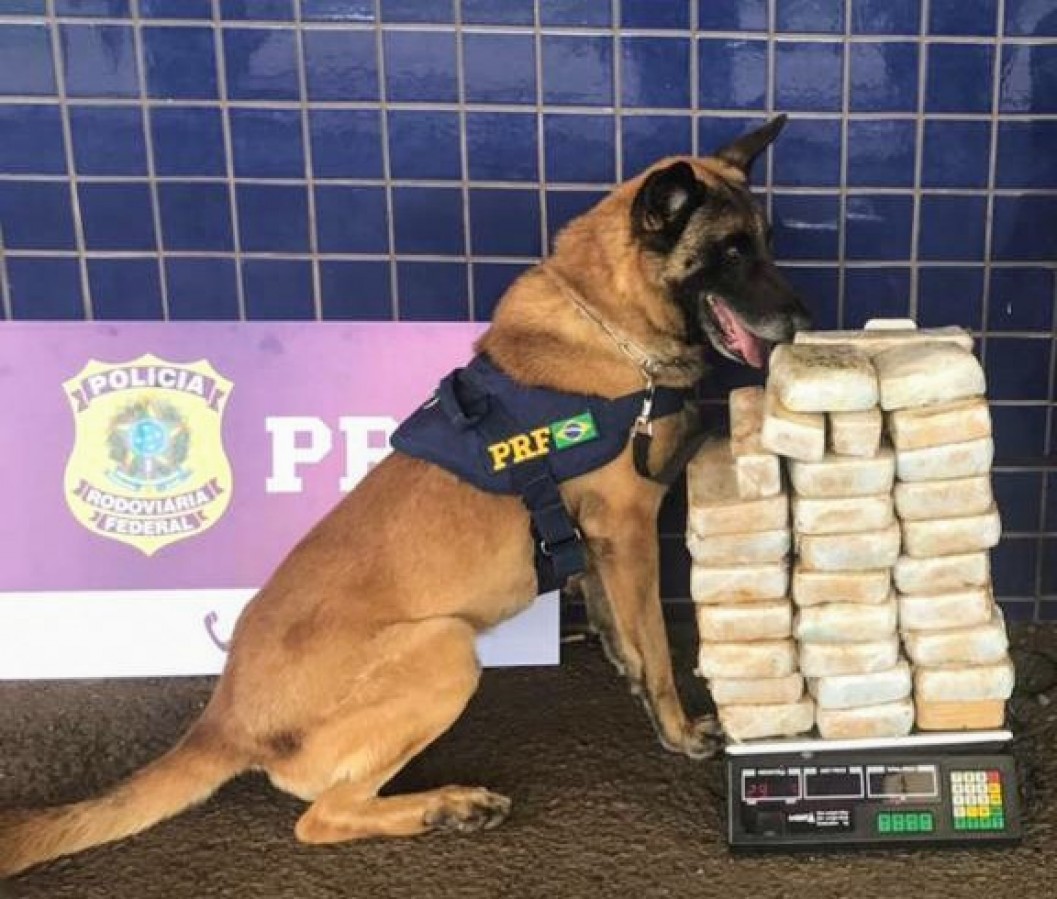 PRF aprende 29 quilos de cocaína que era transportada em veículos de Passo Fundo