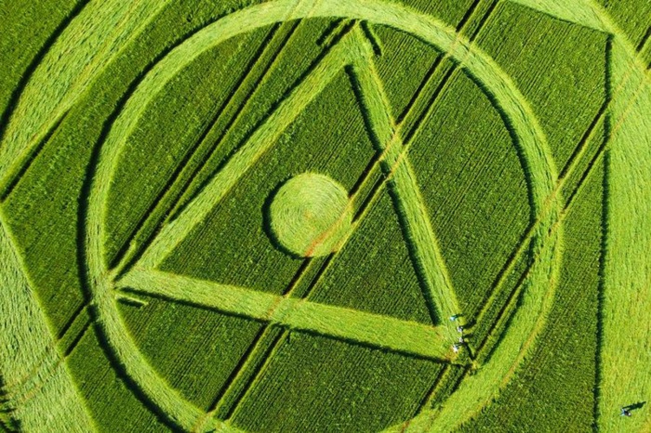 Agroglifos: o que diz a ciência sobre os desenhos que aparecem em plantações