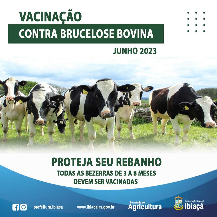 Ibiaçá informa sobre a vacinação da Brucelose