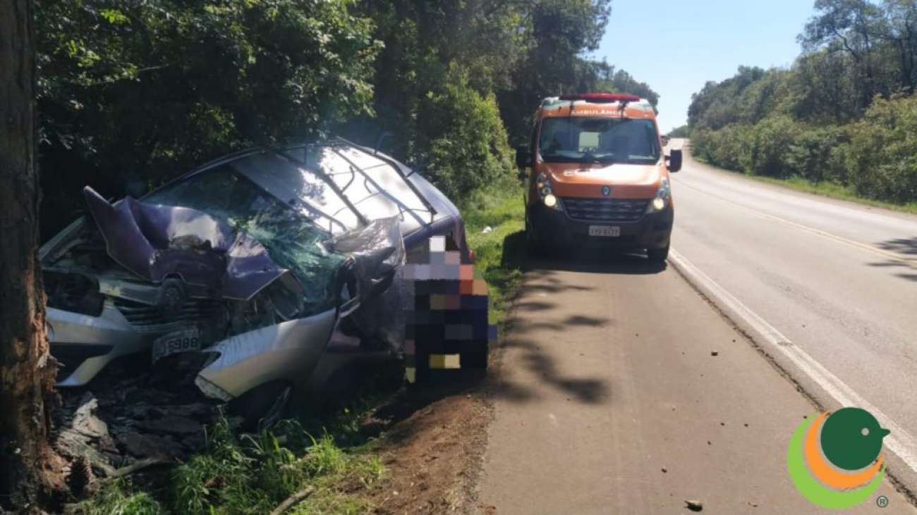 Homem morre ao chocar-se de moto contra árvore no Silveira