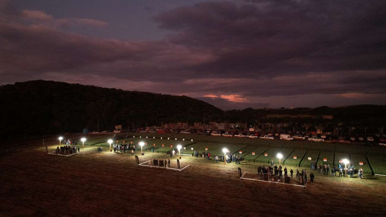 Noite de Campo Coasa acontece nesta terça-feira em Água Santa