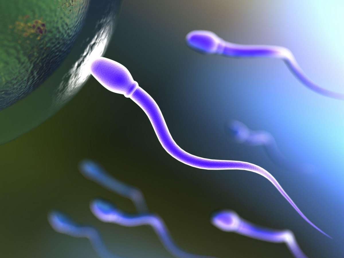 Gel anticoncepcional masculino apresenta 99% de eficácia em testes iniciais