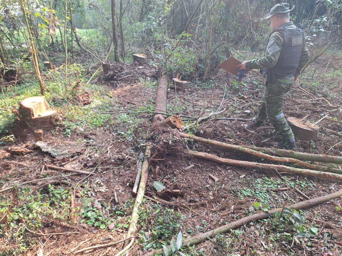 Crime contra a flora é registrado em Tupanci do Sul