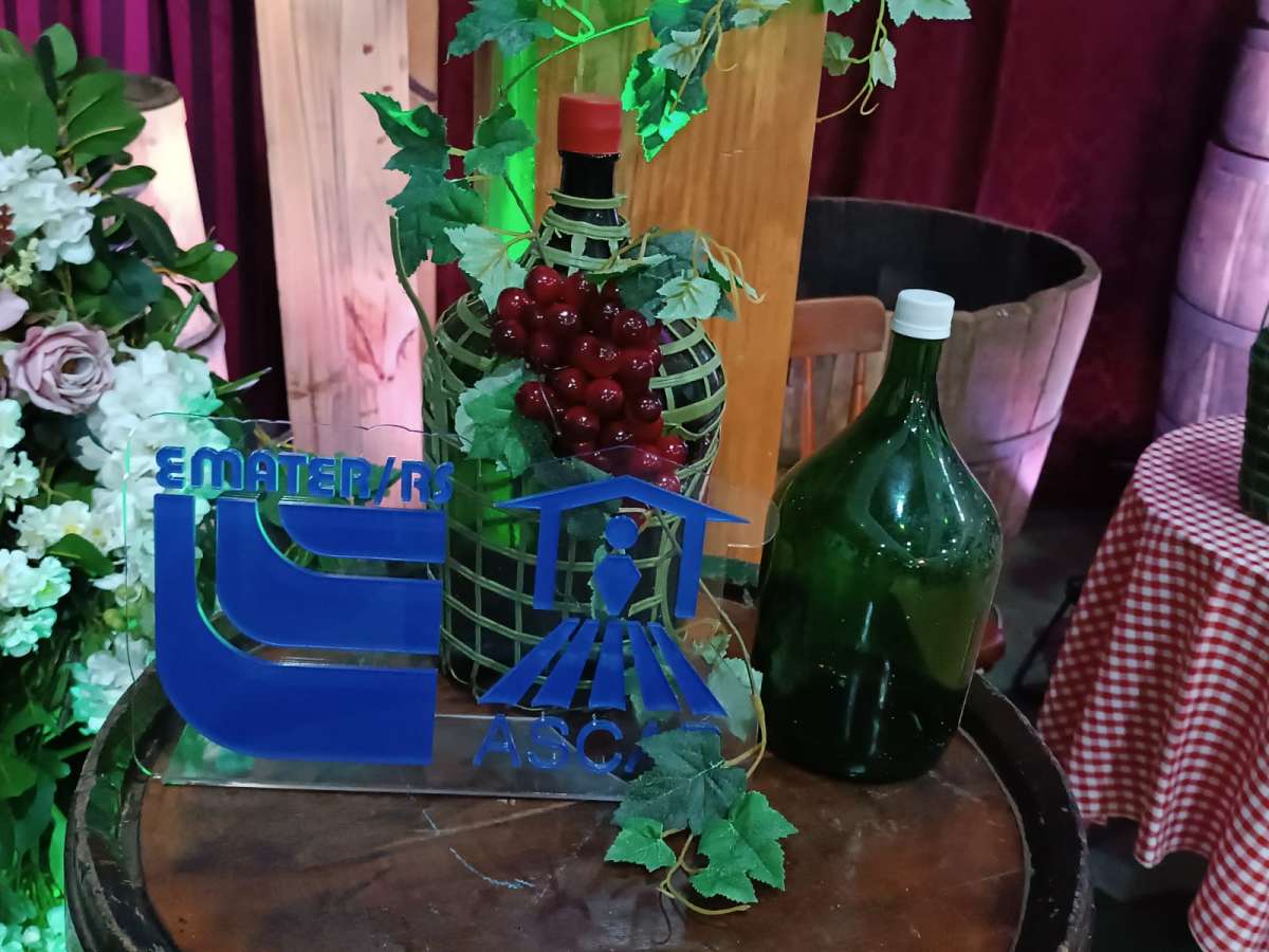 Região conhece os melhores vinhos artesanais em Ciríaco