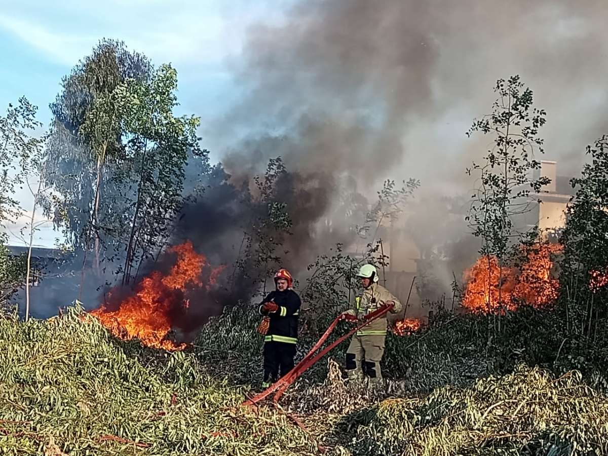 Bombeiros de Tapejara combatem incêndio em terreno no Bairro São Paulo