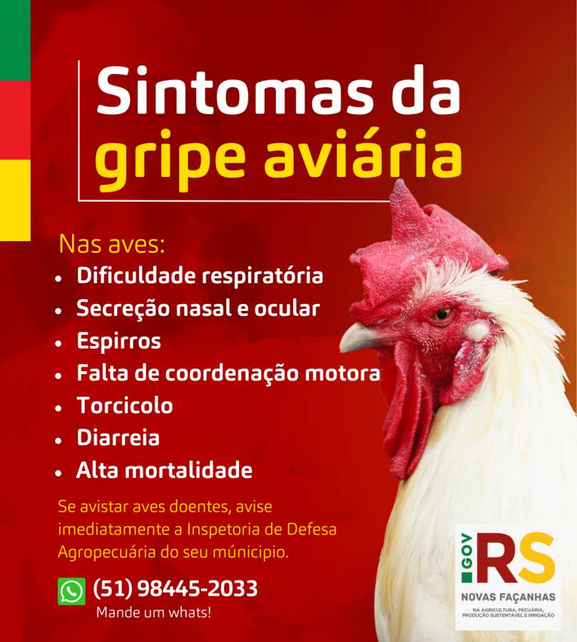 Mortes de gansos e patos em zoológico no RS foram por gripe aviária