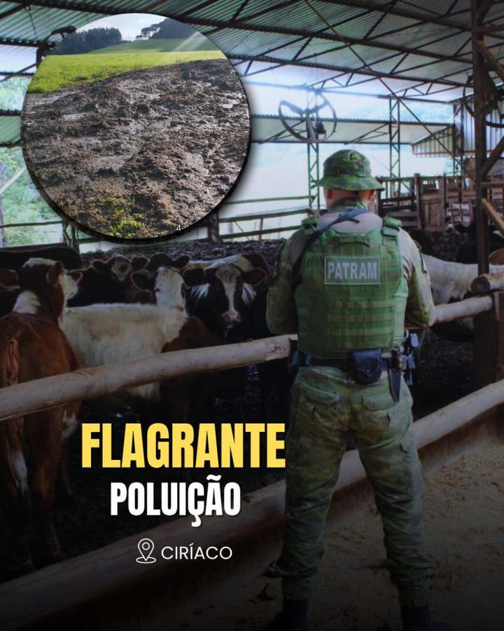 Brigada Militar flagra poluição do solo e hídrica em Ciríaco