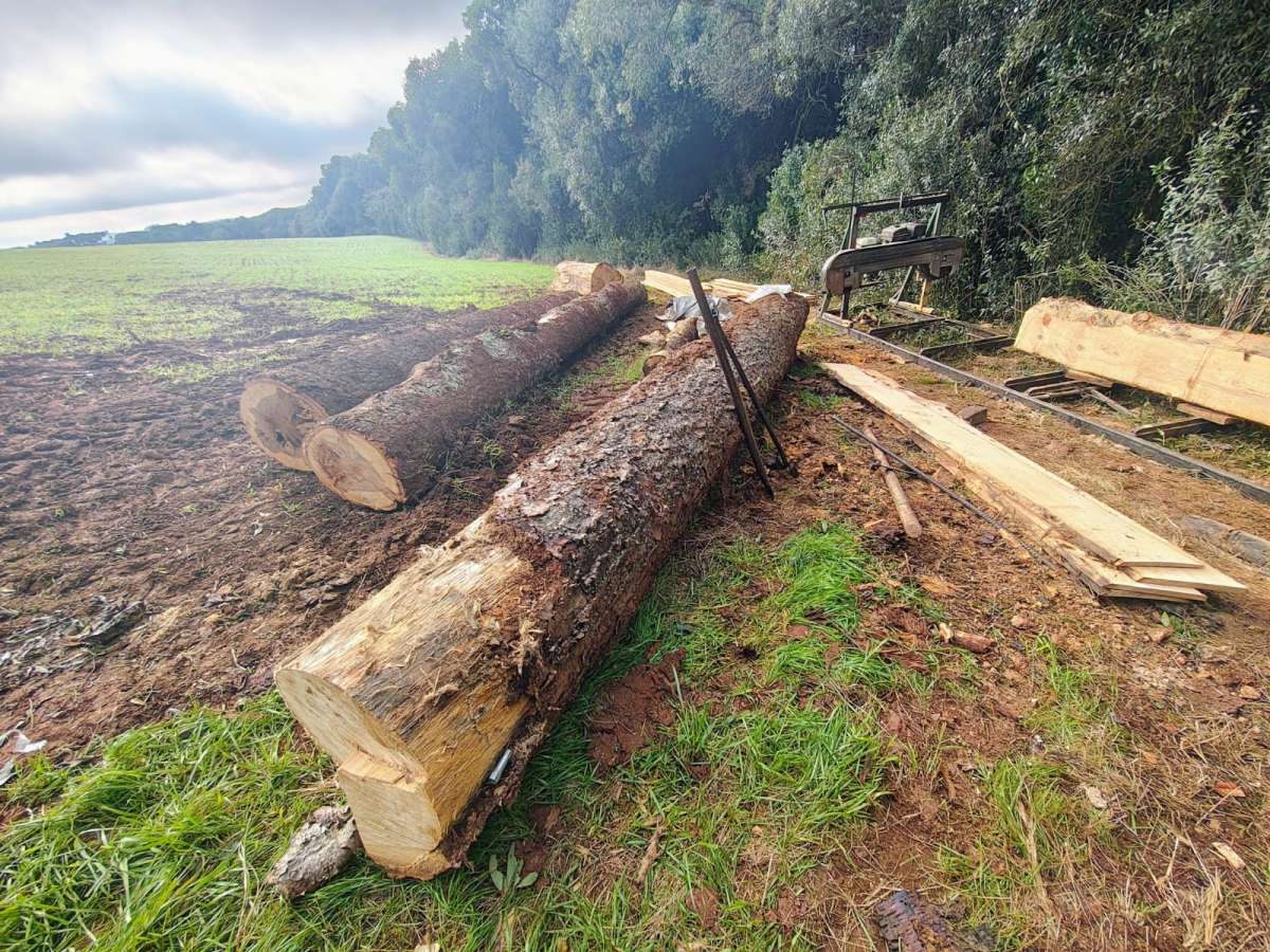 Crime Ambiental é registrado no interior de Capão Bonito do Sul