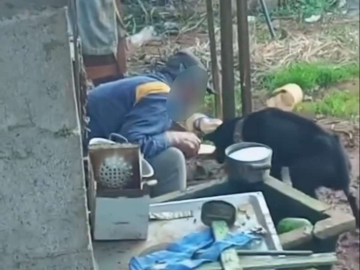 Flagrado cortando patas de cachorro, homem é preso em Caseiros