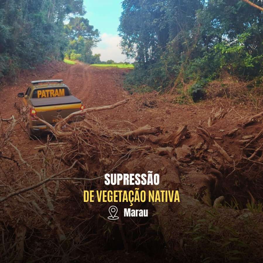 Brigada Militar flagra supressão ilegal de vegetação nativa em duas propriedades em Marau