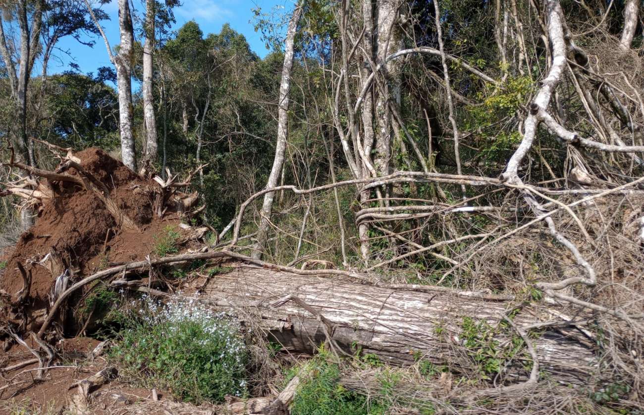 Briga Militar realiza Operação Força Verde em Ibiraiaras