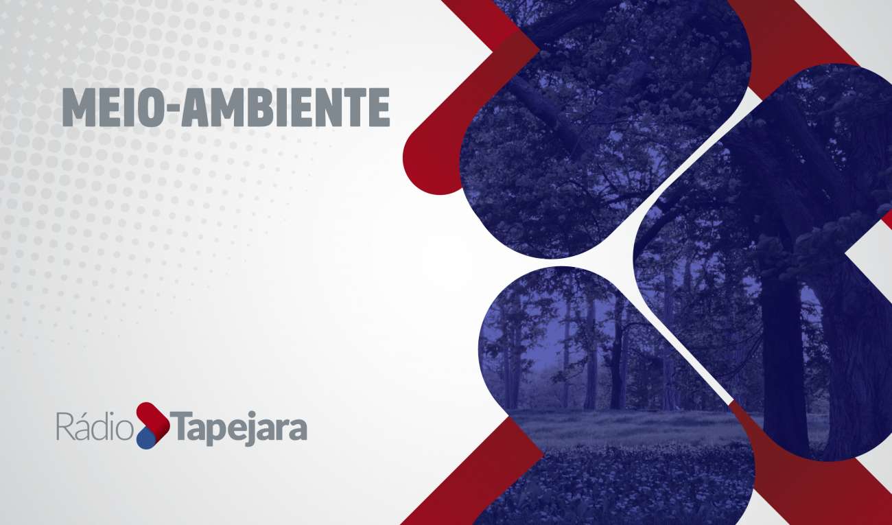 Prédios são evacuados em Erechim após vazamento em reservatórios subterrâneos de um posto