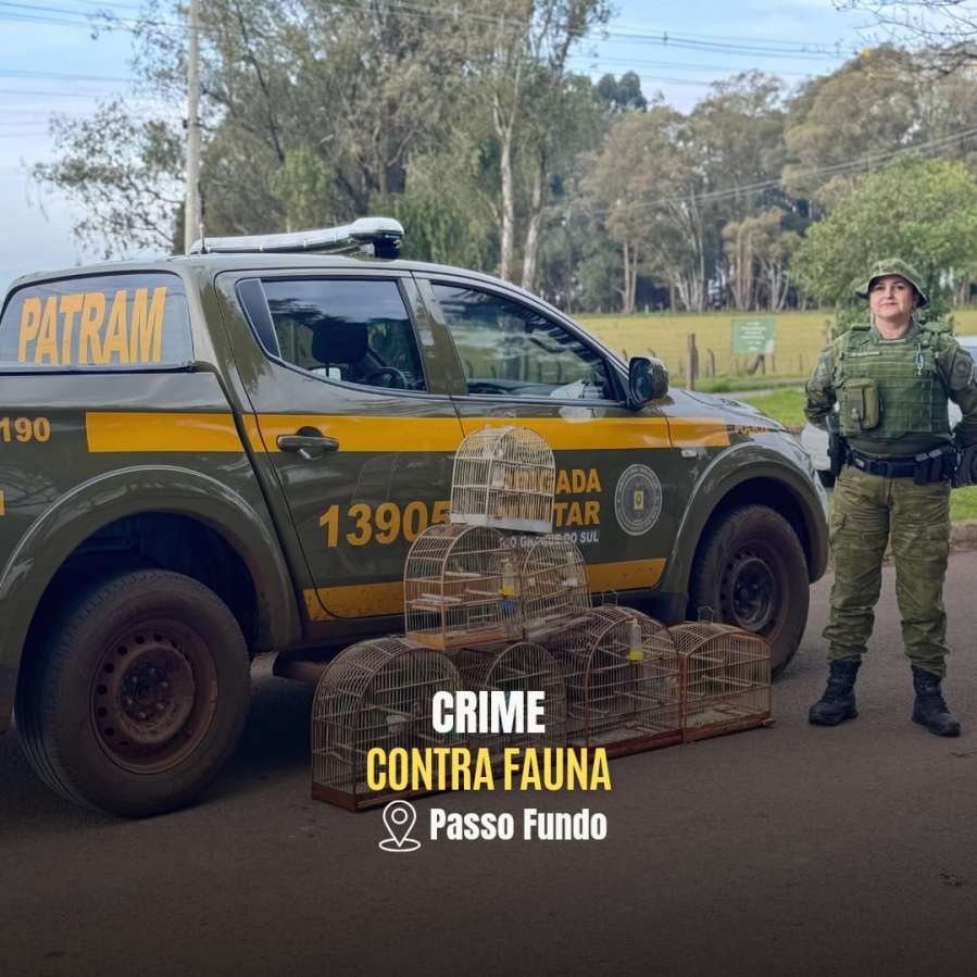 3º BABM, constata crime contra a fauna em Passo Fundo