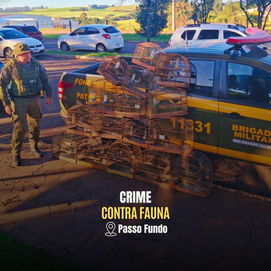 Batalhão Ambiental apreende 17 pássaros silvestres em cativeiro em Passo Fundo
