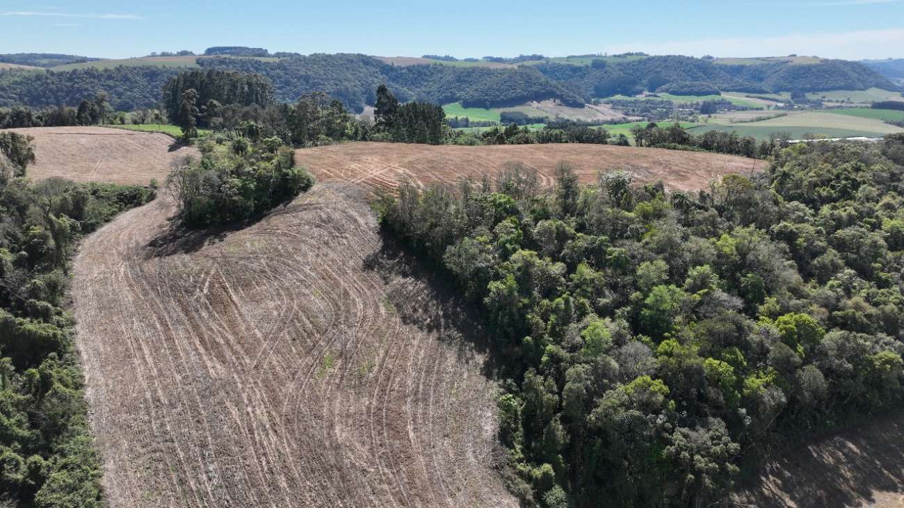 Batalhão Ambiental constata crime contra a flora em Casca