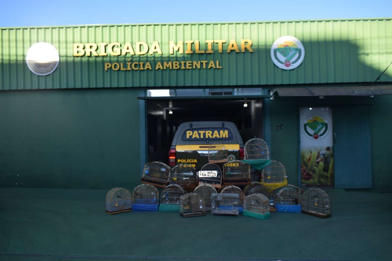 Batalhão Ambiental apreende em Erechim 24 aves silvestres em cativeiro irregular