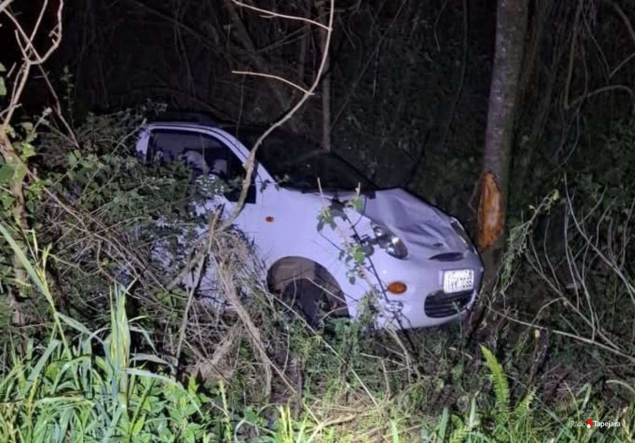 Mulher fica ferida após colidir o veículo em Sertão