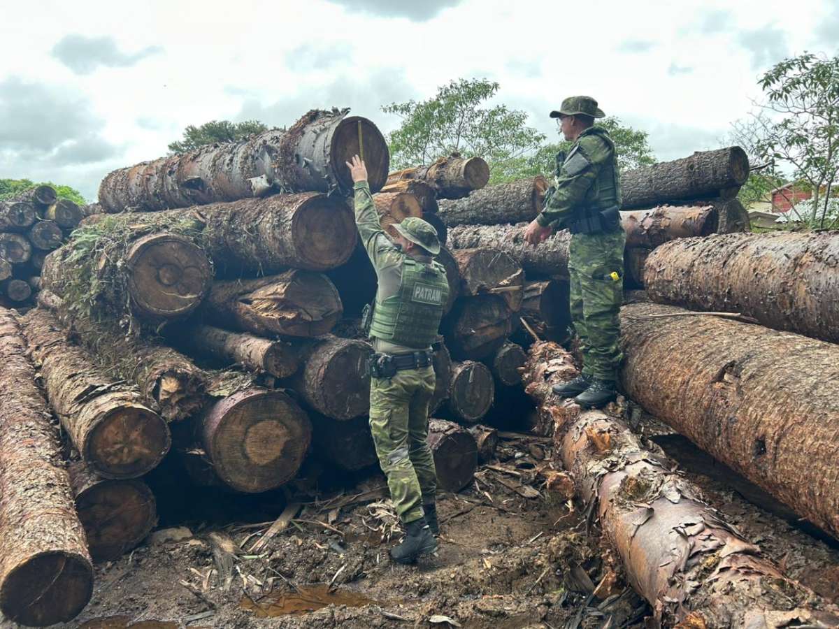 Brigada Militar apreende mais de 60 metros cúbicos de madeira irregular em Água Santa