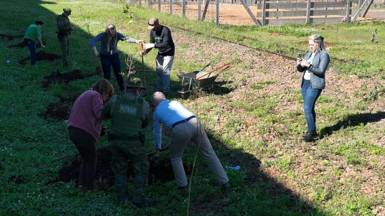 Coxilha realiza ação de reflorestamento com apoio da Brigada Militar, Secretaria de Meio Ambiente e Sicredi