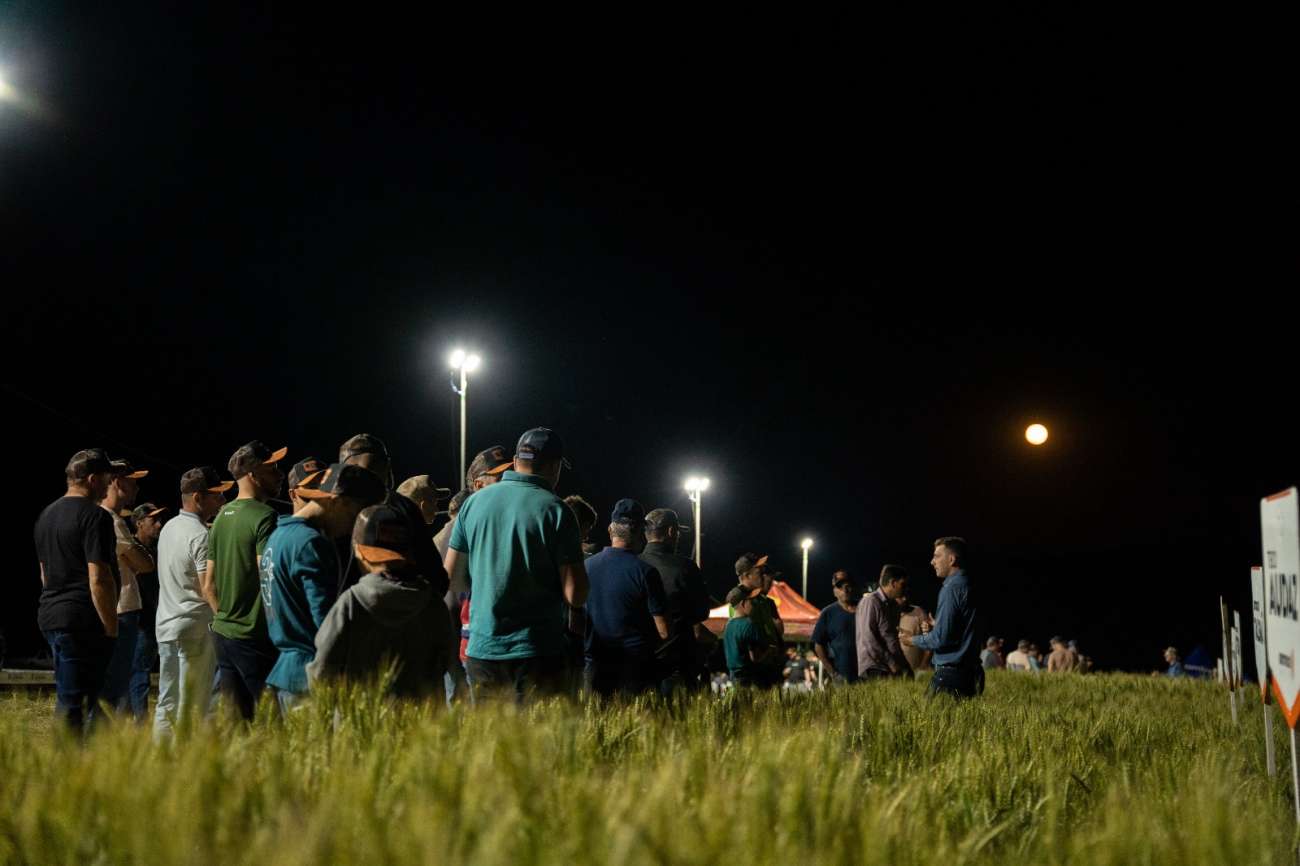 Noite de Campo Coasa reunirá produtores para troca de conhecimentos e apresentação de cultivares de inverno