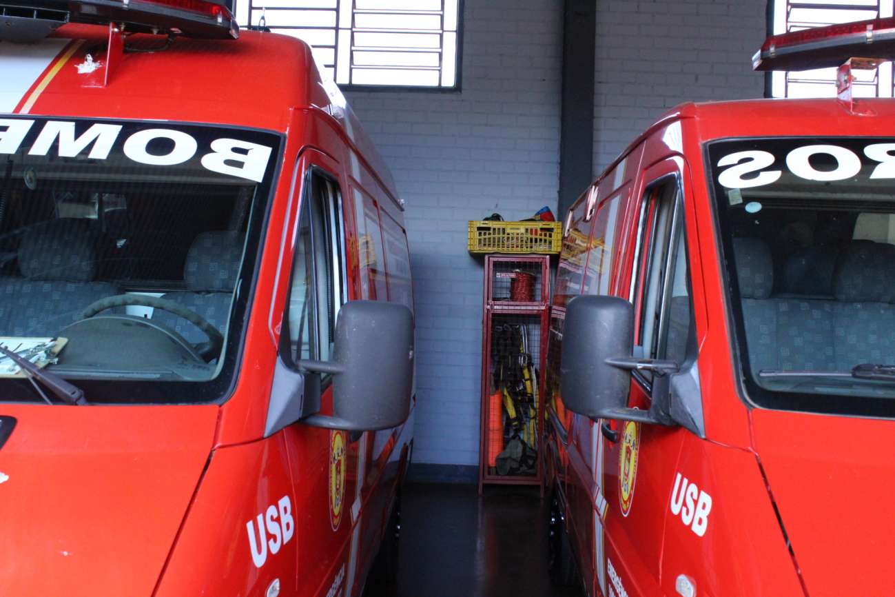 Ataque de abelhas deixa 14 crianças feridas em escola de Passo Fundo