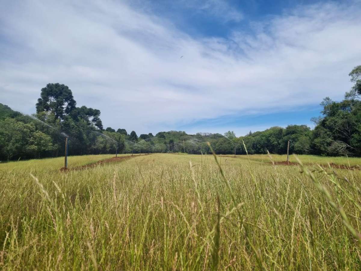 Em parceria com a Emater, Governo de Ibiaçá anuncia incentivo a sistemas de irrigação para fortalecer a agropecuária local