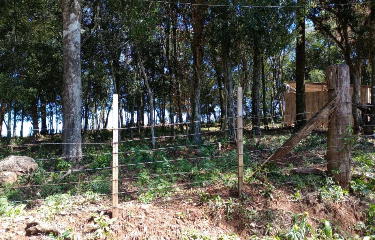 PATRAM flagra parcelamento irregular de solo e destruição de vegetação nativa em Caseiros