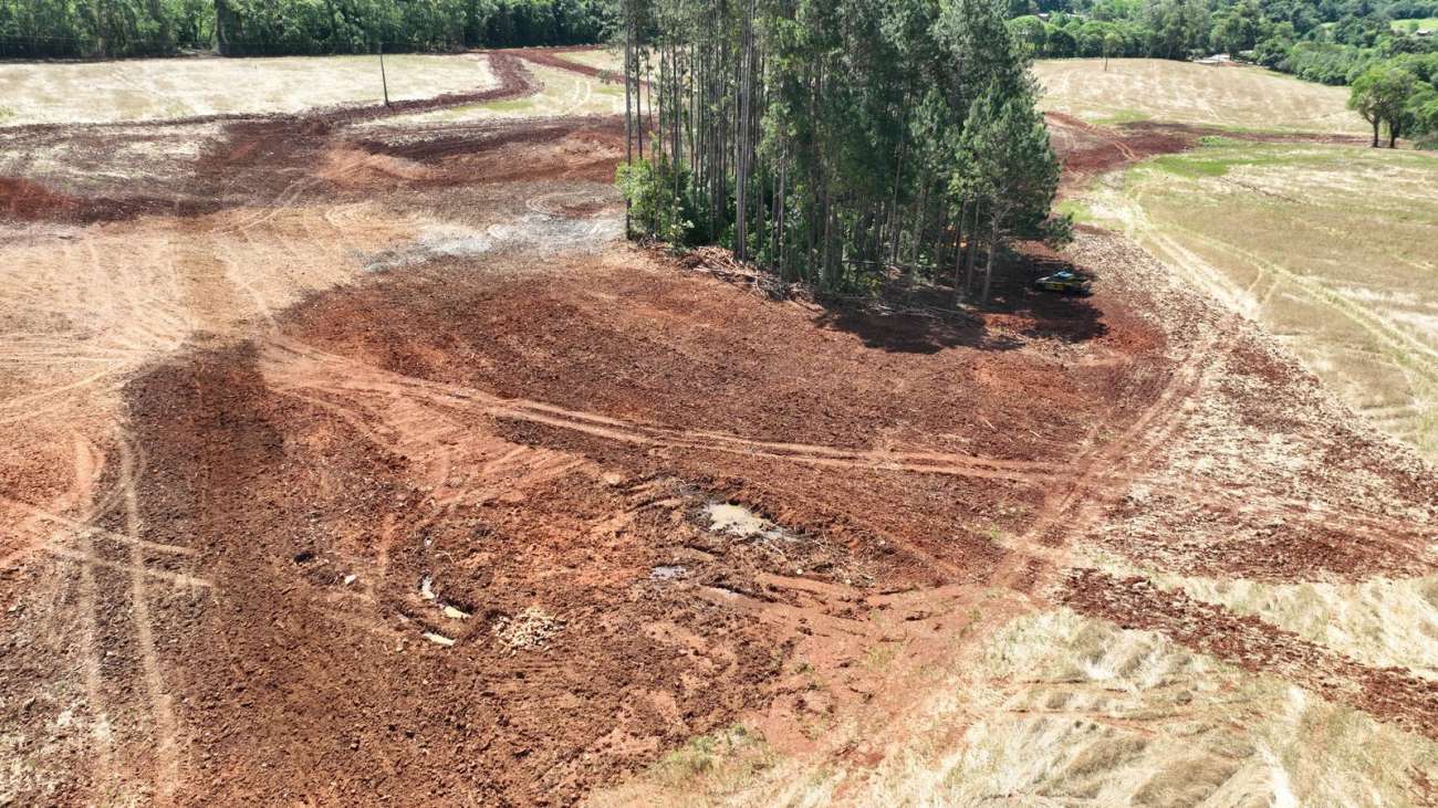 Brigada Militar flagra desmatamento no interior de Passo Fundo