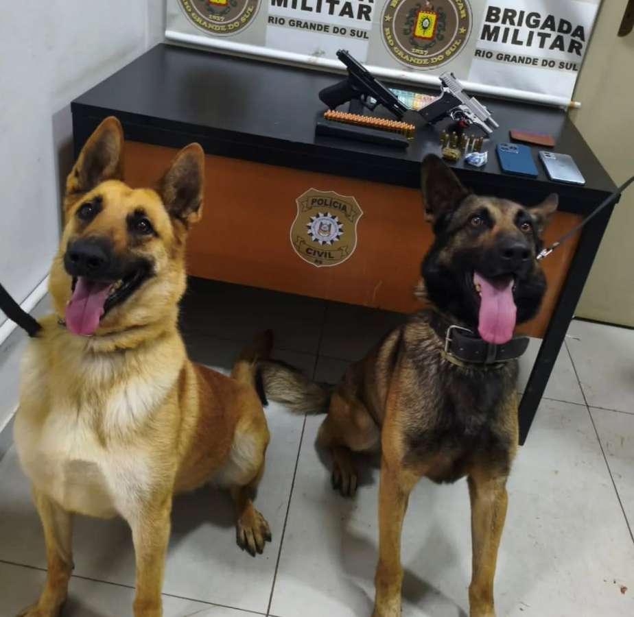 Brigada Militar prende dois homens por porte ilegal de arma de fogo em Tapejara