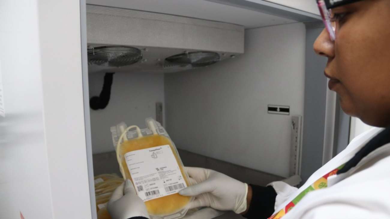 Hemocentro do RS moderniza armazenamento de plasma destinado à produção de medicamentos derivados de sangue