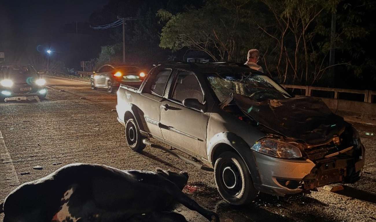 Bovino solto na pista provoca acidente com três veículos entre Sananduva e Cacique Doble