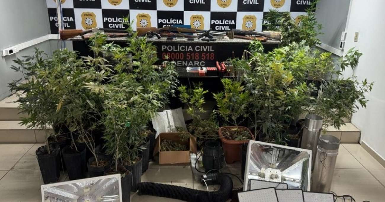 Idoso de 83 anos é preso com plantação de maconha e farto arsenal