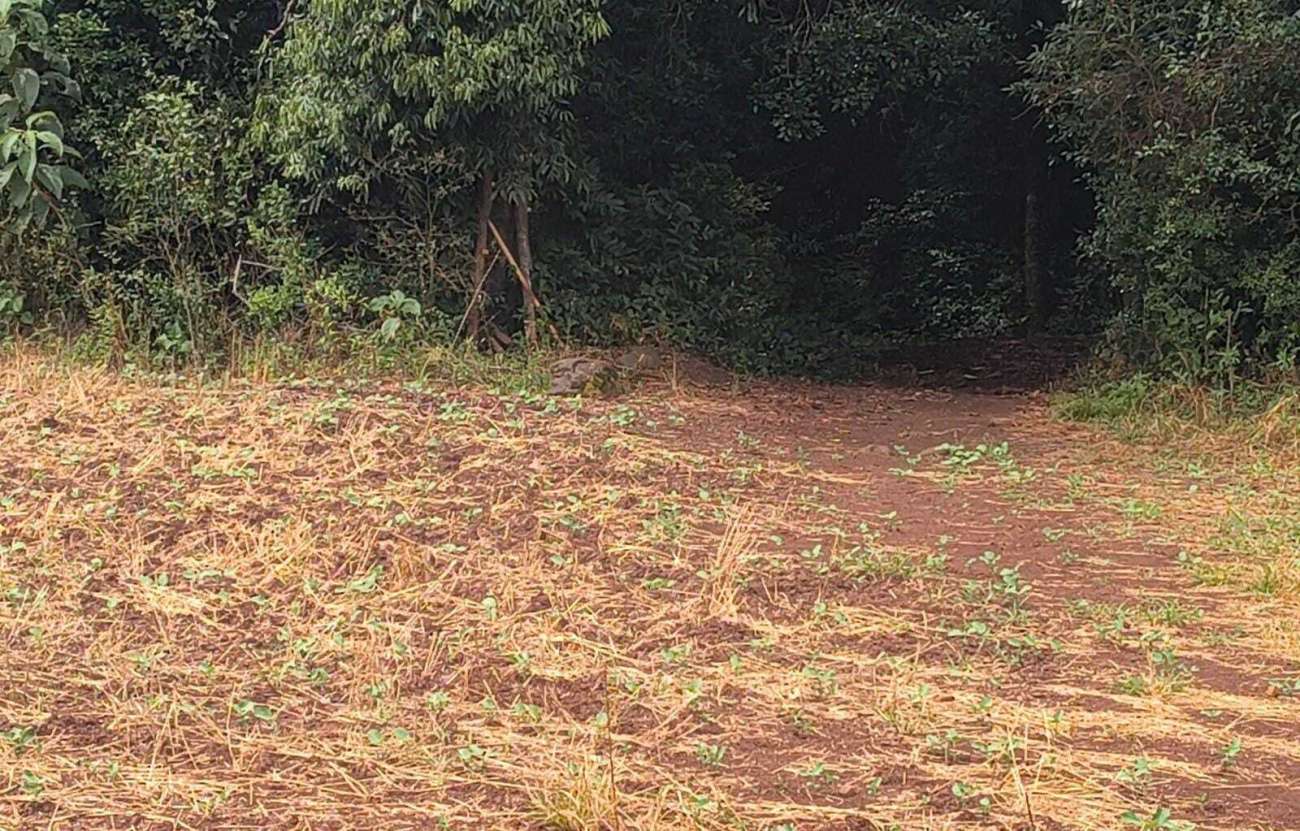 Brigada Militar intensifica patrulhamento rural e ações ambientais em Lagoa Vermelha e Ibiaçá