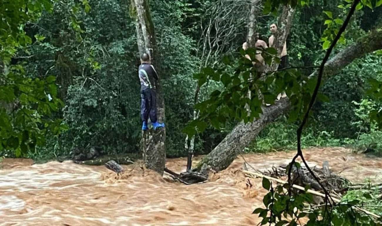 Trio de pescadores escala árvore para não ser arrastado por rio que transbordou no interior de Seberi