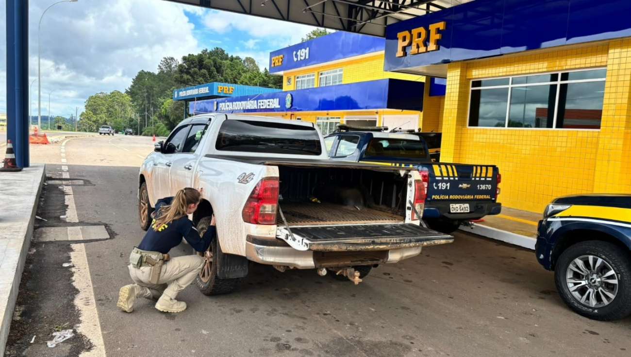 PRF recupera Hilux clonada e prende condutor de Mato Castelhano por receptação na BR-285