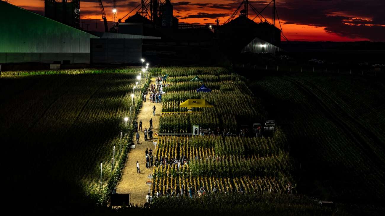 Coasa reunirá associados em Noite de Campo focada na safra do milho