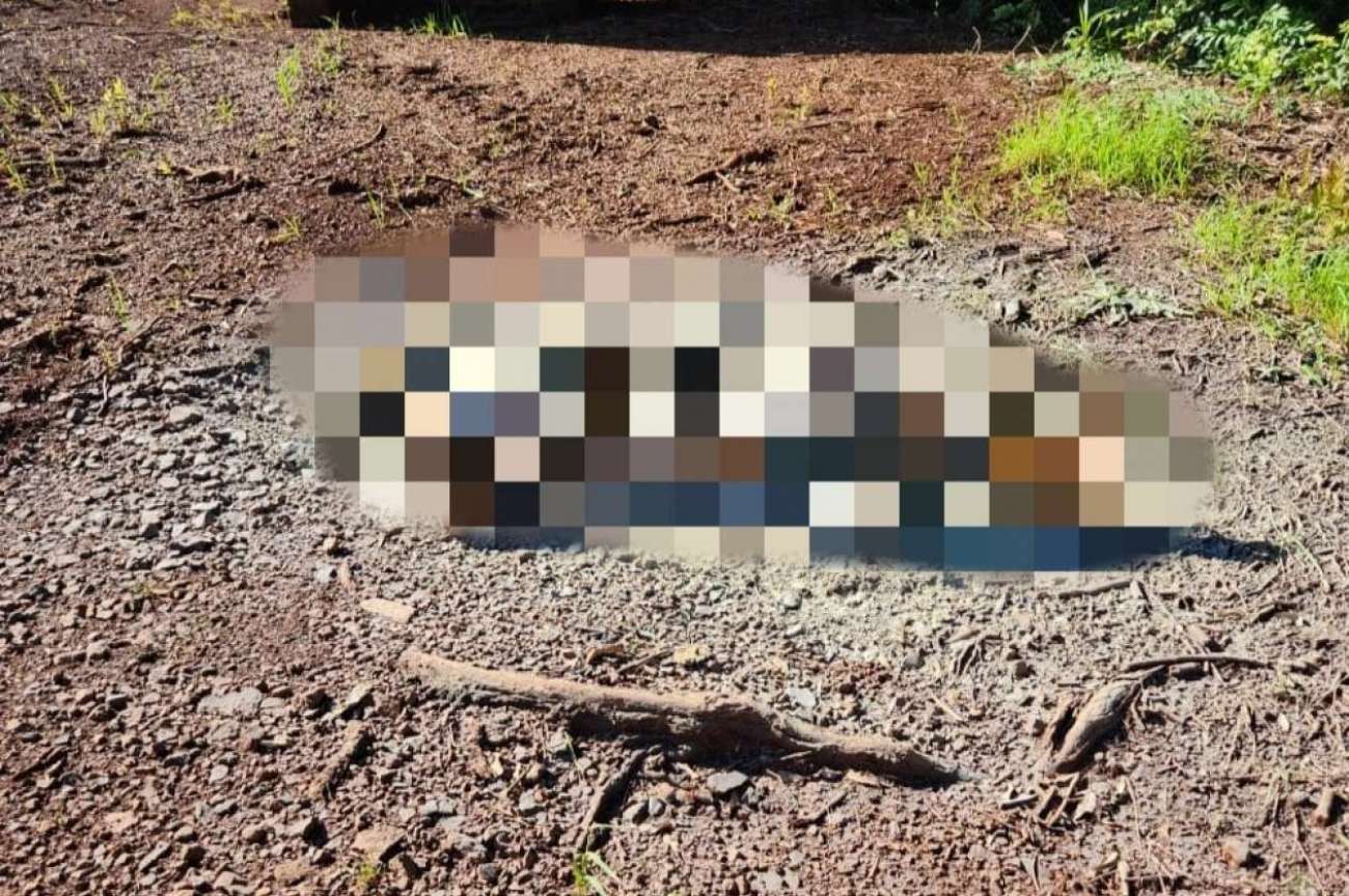 Mulher é presa em Tapejara suspeita de envolvimento na morte de homem encontrado carbonizado em Ibiaçá