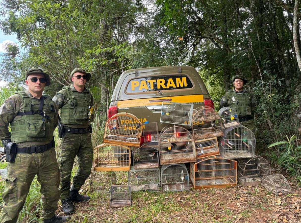 Ação conjunta identifica criação irregular de aves silvestres em Getúlio Vargas