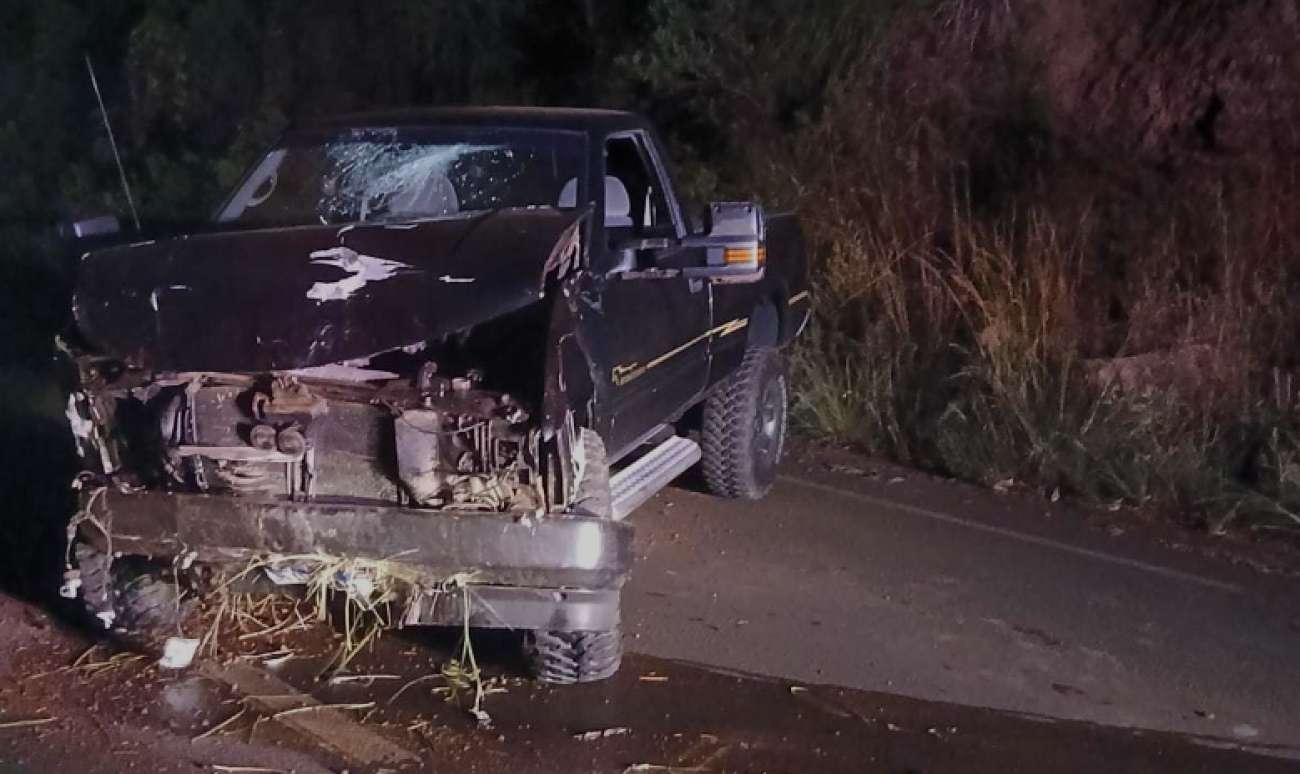 Condutor sofre ferimentos leves em acidente na ERS-343, em São José do Ouro