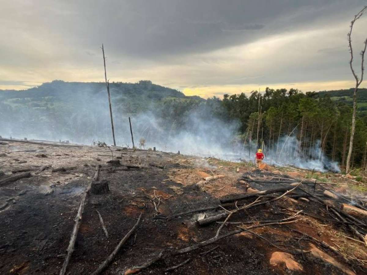 Incêndio em reflorestamento mobiliza bombeiros por 10 horas em Marcelino Ramos