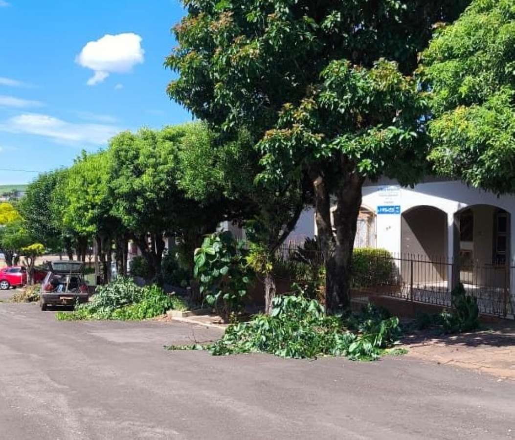 Secretaria de Agricultura e Meio Ambiente inicia podas de árvores em Ibiaçá