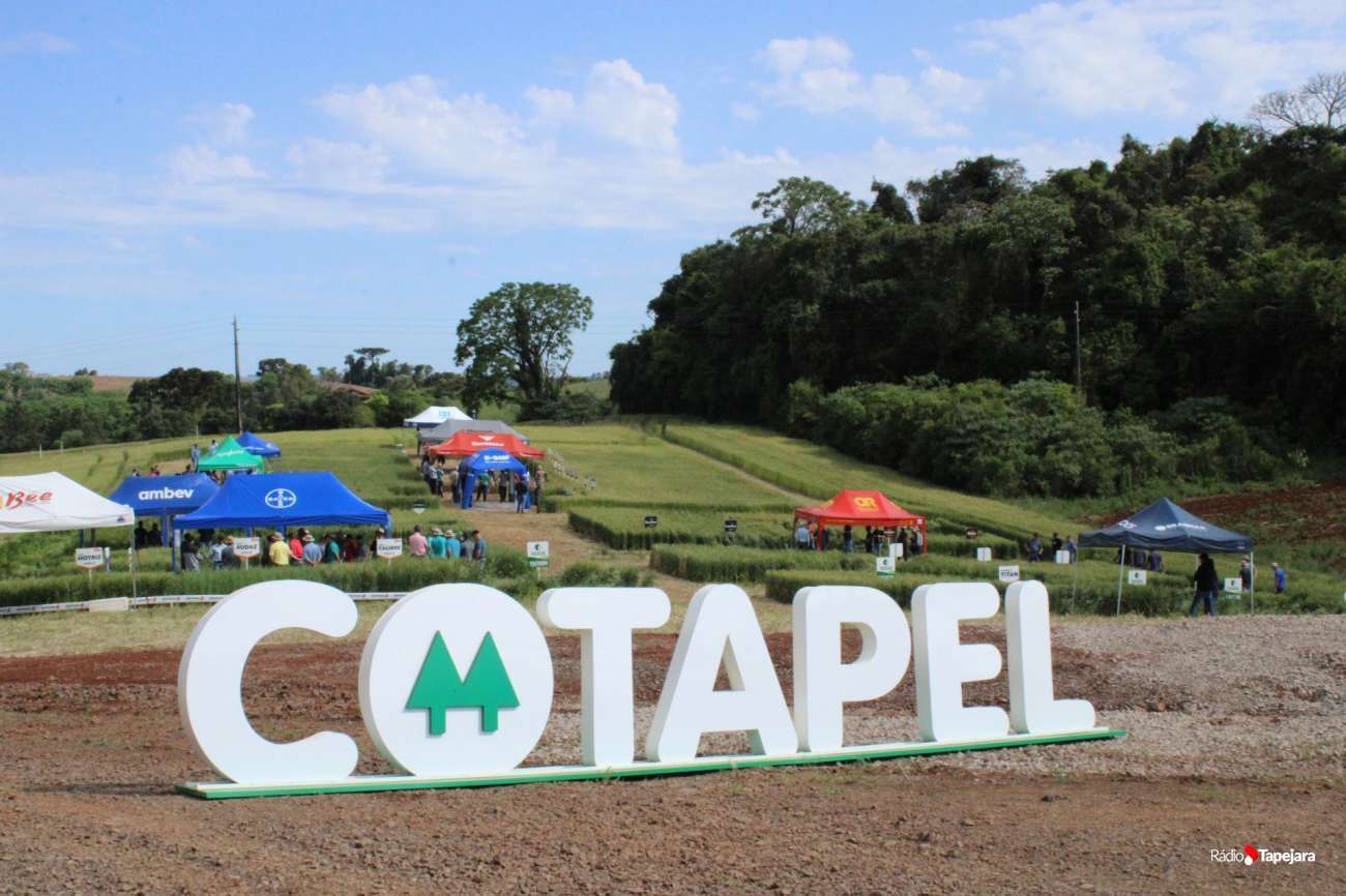 Cotapel realiza Tarde de Campo com foco em manejo, tecnologia e troca de conhecimento