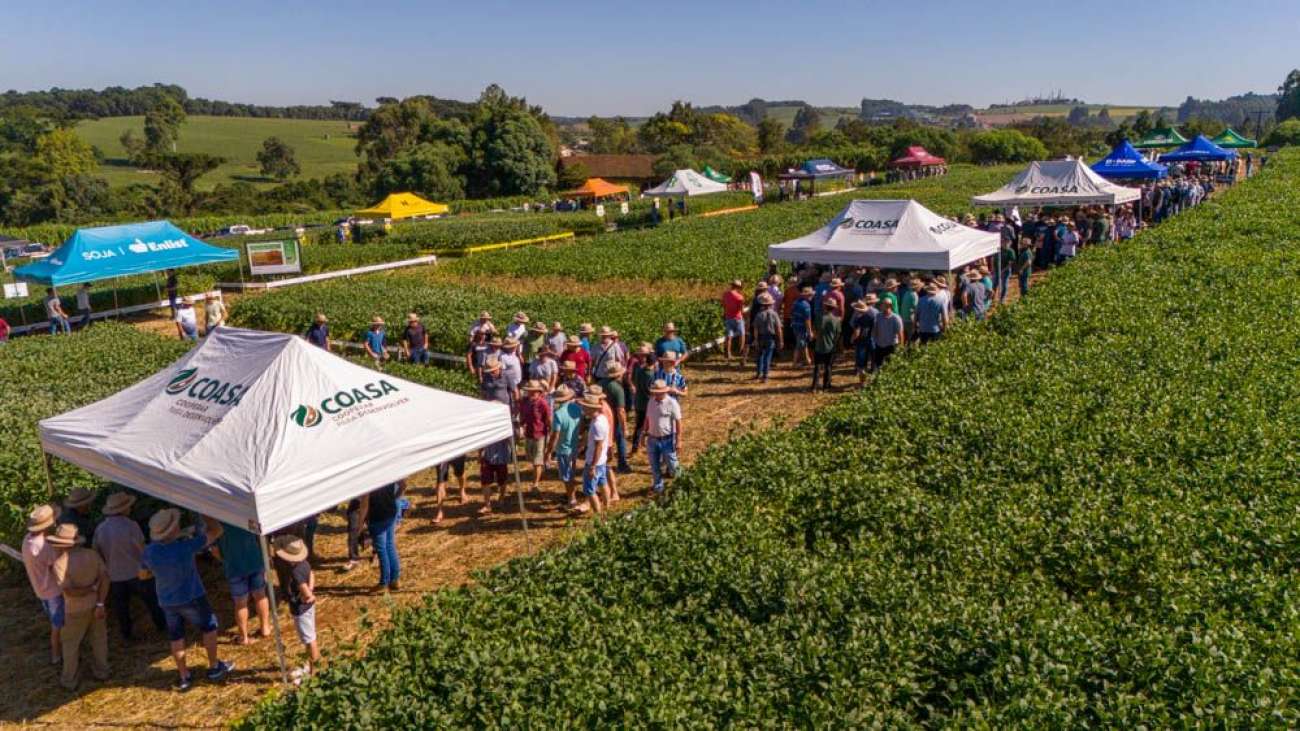Coasa organiza Dia de Campo 2026 com foco em tecnologia, mercado e práticas sustentáveis