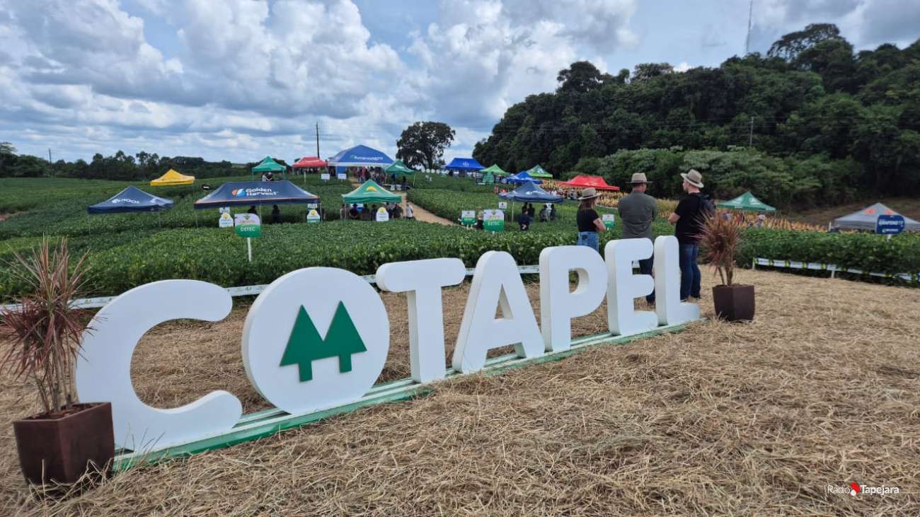 Tarde de Campo Cotapel reúne produtores para apresentação de inovações e troca de experiências