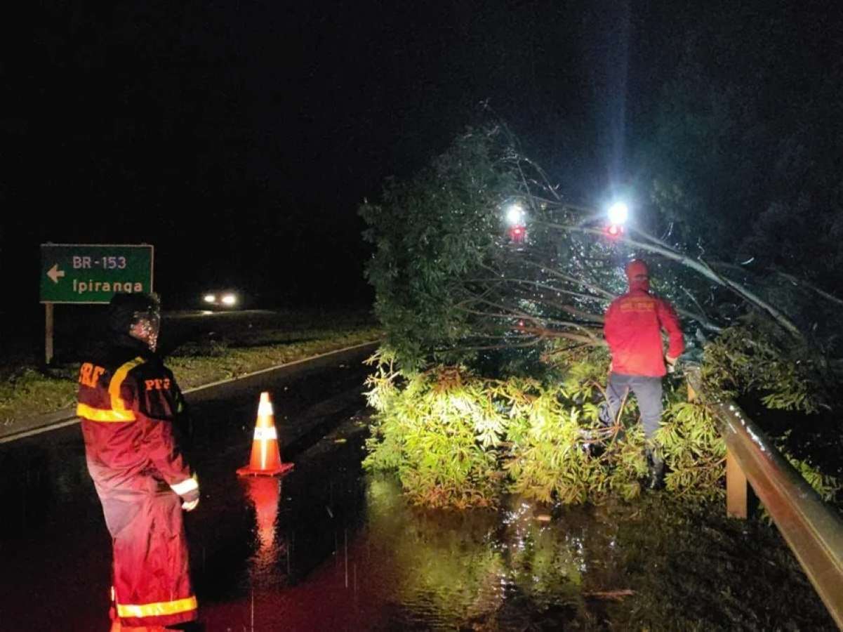 PRF libera mais de 30 pontos de interdições por queda de árvores na região Norte do RS